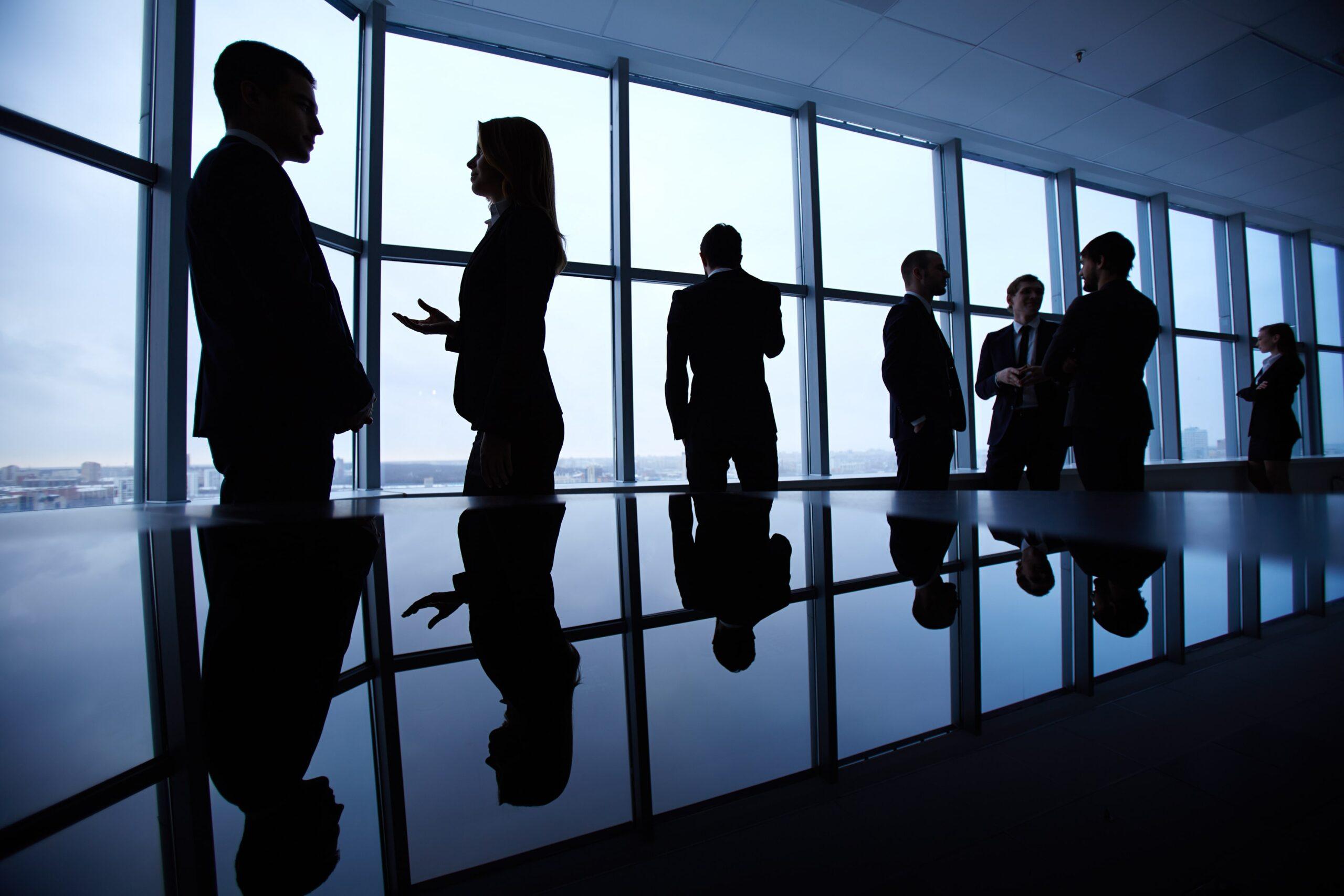 Silhouettes of business professionals networking in a modern office setting, discussing international transfer pricing.